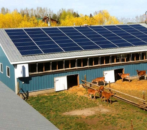 قیمت پنل خورشیدی برای دامداری
